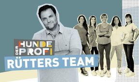 Der Hundeprofi - Rütters Team