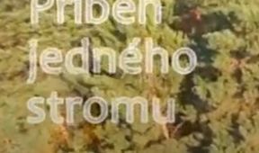 Príbeh jedného stromu