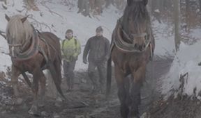 Lidé na hranici