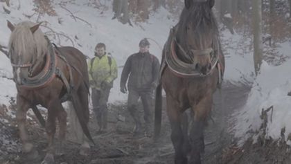 Lidé na hranici
