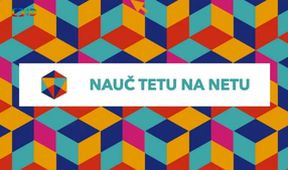 Nauč tetu na netu
