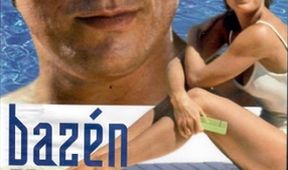 Der Swimmingpool