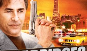 Detektiv Nash Bridges