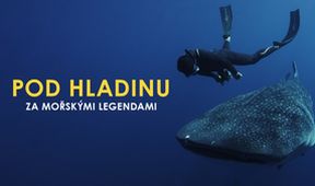 Pod hladinu za mořskými legendami (2/2)