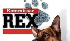 Návrat komisaře Rexe IX (1)