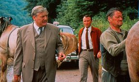Maigret a milovnice diamantů