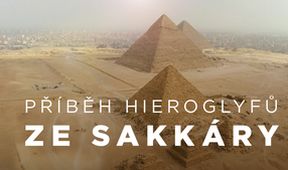 Příběh hieroglyfů ze Sakkáry