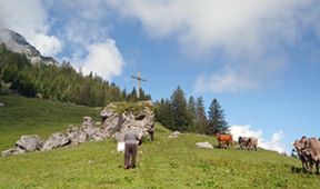 Evropské mikrostáty (5)