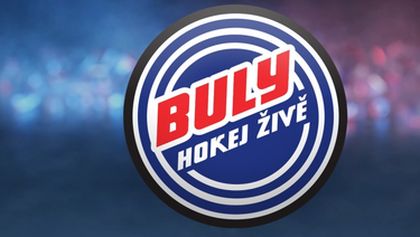 Buly - debata expertů, Hokej