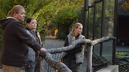 ZOO (194)