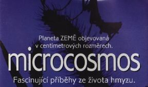 Mikrokosmos