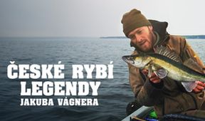 České rybí legendy II (3)
