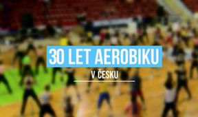 30 let sportovního aerobiku v ČR, Estetické sporty