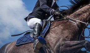 Český skokový pohár Super Grand Prix, Jezdectví