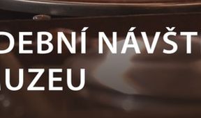 Hudební návštěva v muzeu: Dasha - Ellaboration