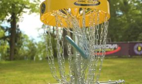 Discgolf 2024, Discgolf