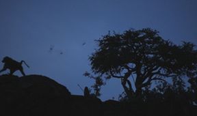 Neznámý kout Afriky - Mount Suswa