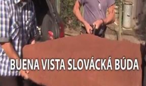 Buena vista Slovácká búda