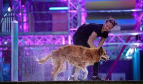 Top Dog Germany - Der beste Hund Deutschlands