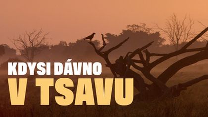 Kdysi dávno v Tsavu (1/2)