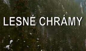Lesné chrámy