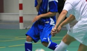 1. Futsal liga 2024/2025, Futsal