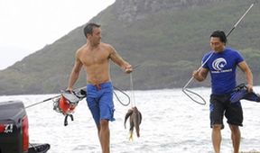 Hawaii Five-O II (22/23)