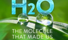 H2O: Molekula života (3/3)