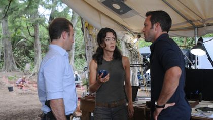 Hawaii Five-O (24/24)