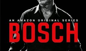 Bosch V (9/10)