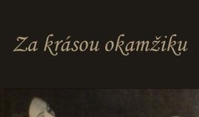 Za krásou okamžiku