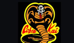 Karate Kid 3 III