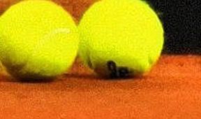 Czech Indoor Cup, Tenis