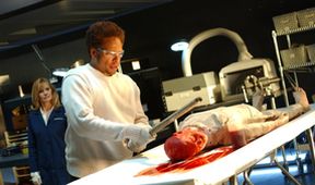 CSI: Crime Scene Investigation IV (19/23)