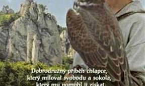 Sokoliar Tomáš