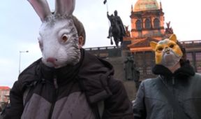 Klovací pořádek