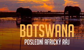 Botswana - poslední africký ráj