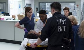 New Amsterdam V (10)