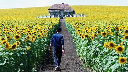Naprosto osvětleno, Kino Art