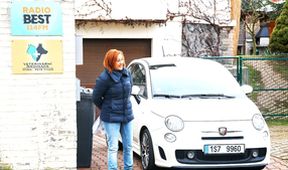 Krejzovi (64)