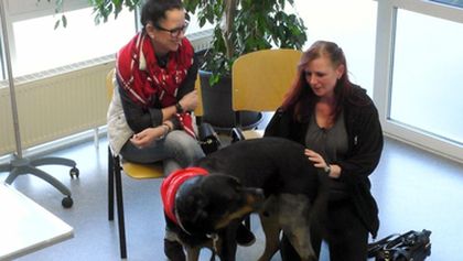 Hautnah: Die Tierklinik