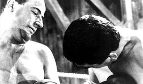 Boxer a smrt