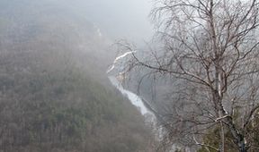 Návraty k divočině (5)