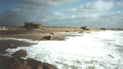 Islandská paměť