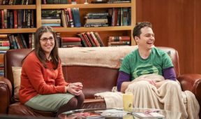 The Big Bang Theory (15/17)