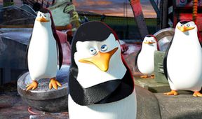 Madagaskar 3