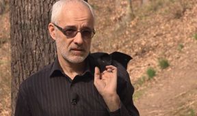 Sváteční slovo místopředsedy Rady Církve bratrské Petra Rause