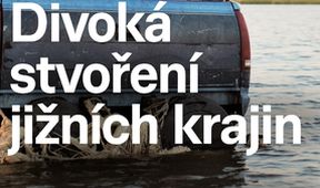 Divoká stvoření jižních krajin