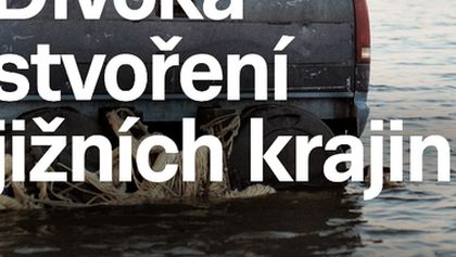 Divoká stvoření jižních krajin