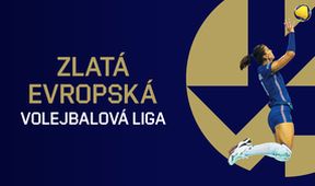 Česko - Finsko, Volejbal